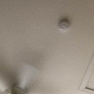 Meet your Posher, Mia